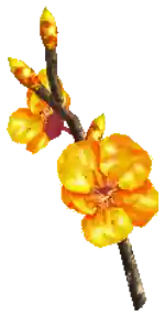 Mu