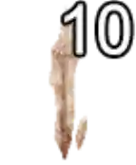 Mu