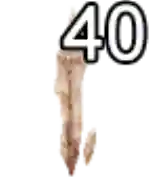 Mu