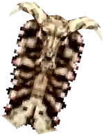 Mu