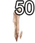 Mu