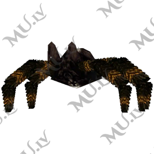 Spider 10…12